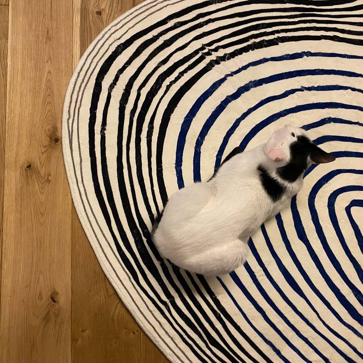 521dd5c0 363f 44c7 9ad6 bc517d0fca0c 1716082997374