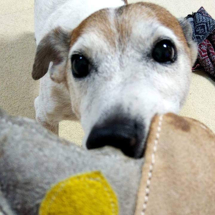 521dd82e bcd3 4215 a5cd 9b58a3c0ae85 1578823477889