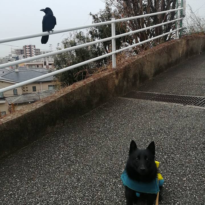 521e3739 af79 4f75 8302 975c212af0fe 1643839399316