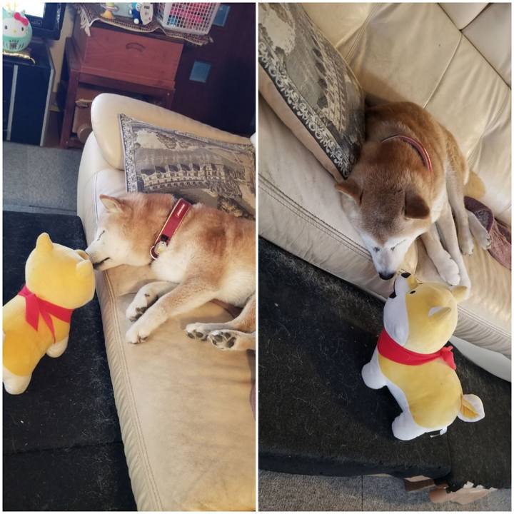 521e437c baf4 4889 b42d 2a7d7a27989a 1763163949937