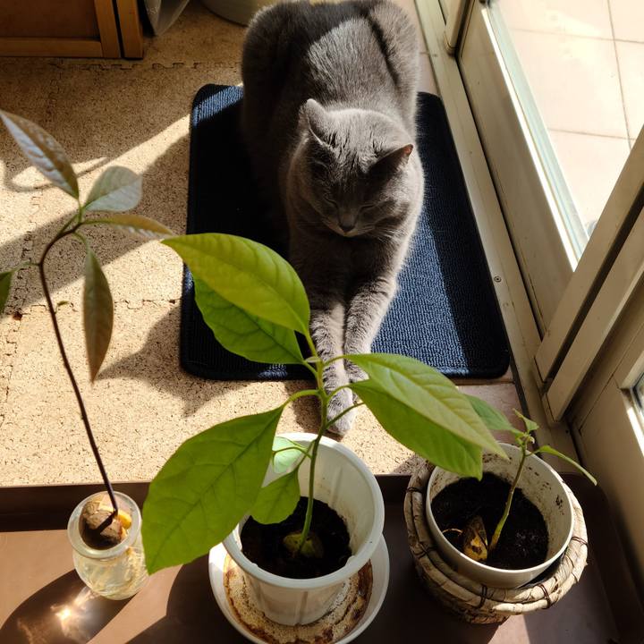 521e9381 ca90 4c66 9853 91bbc2b85d1f 1603856576889