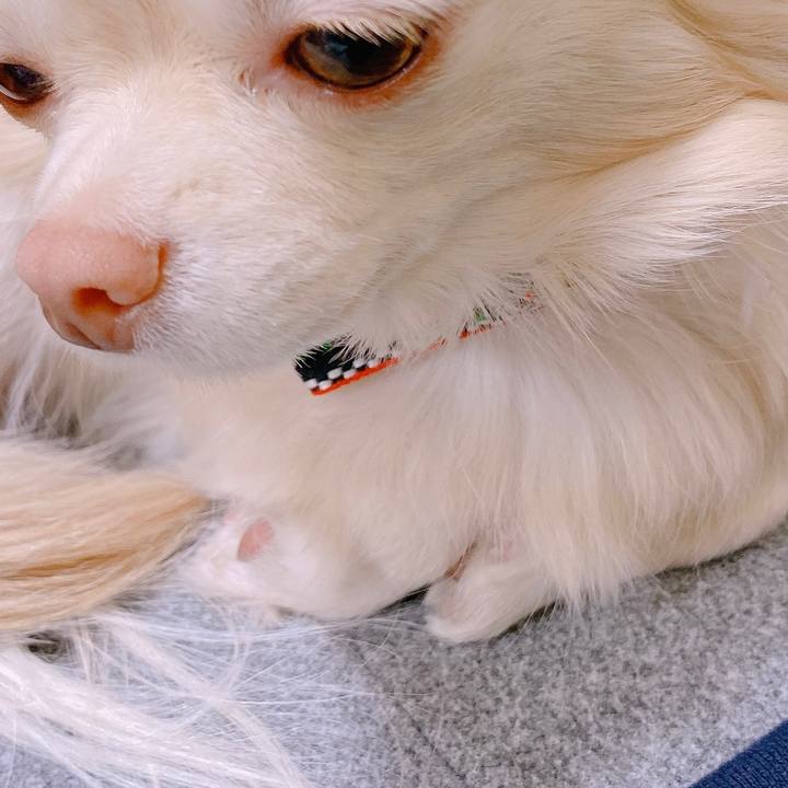 521eaa3c 5a9c 4620 96be 47987cb6f2d3 1644715126188