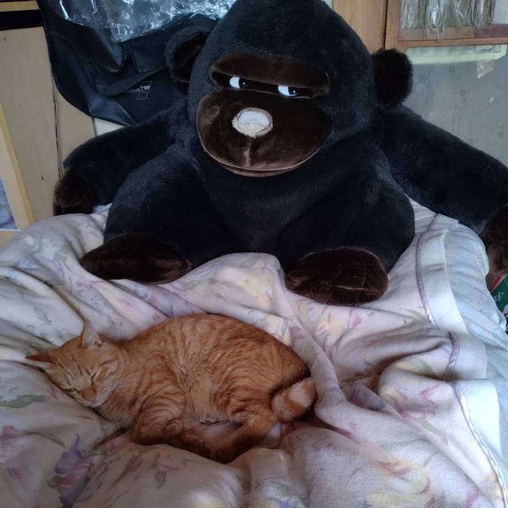 521eb856 44b3 4dae 81d1 8140afc8865e 1668987330289