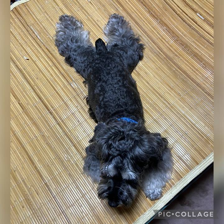 521ecca3 f880 4824 af30 092a9a5476ec 1722662887088