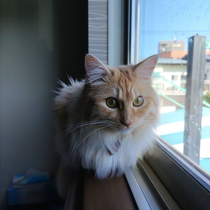 521ef0e7 413f 417a af6b 2d482af51156 1653778574080