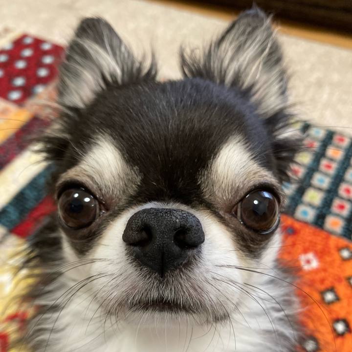 521ef89c 8577 4ca0 ab9a 7232ed8672d4 1691185191631