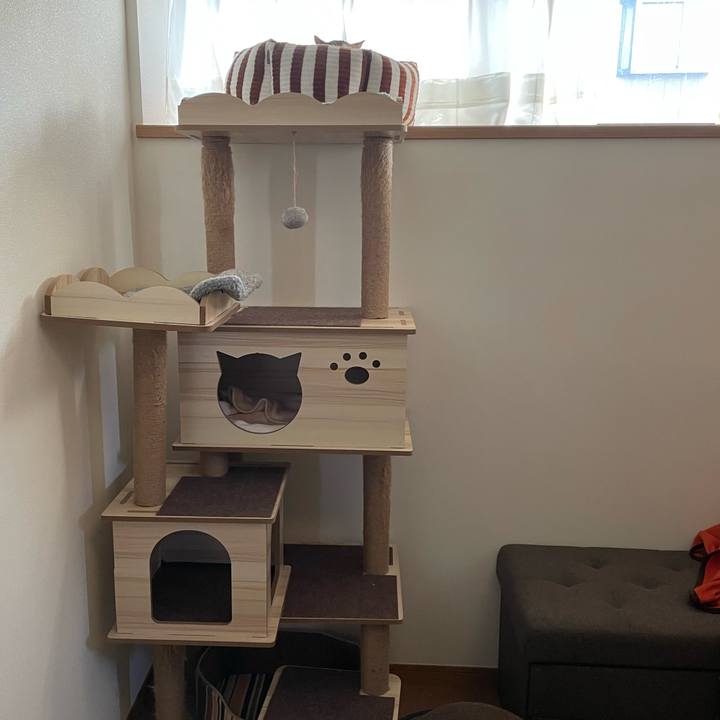 521f1745 f4d0 4591 bcd5 f9edd1bc1c38 1674363176924