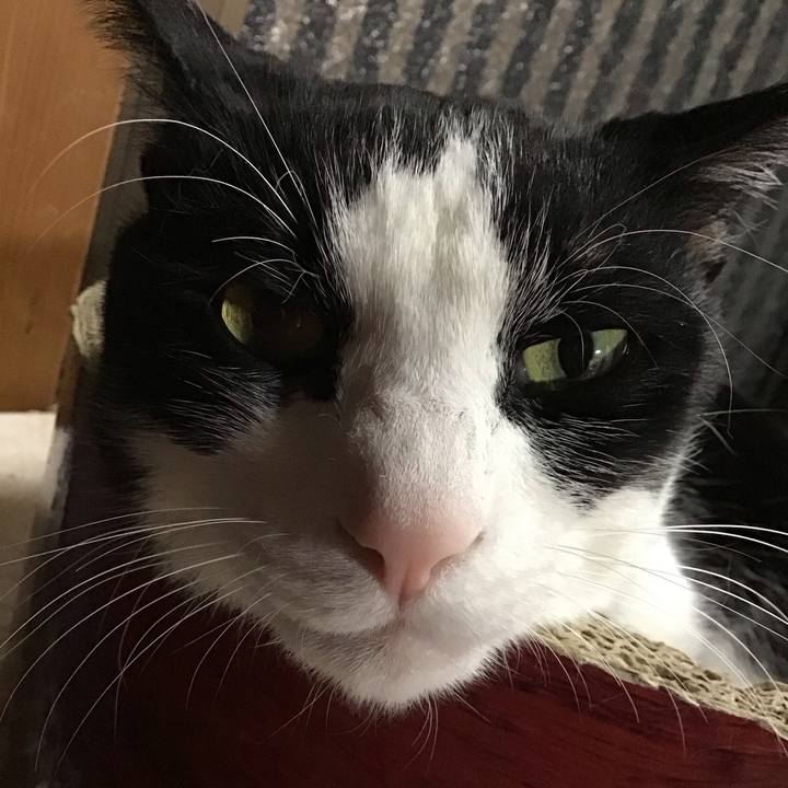 521f198c 39c8 4827 934e 221011af6597 1746100215198