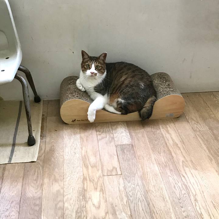 521f26dd 6a76 4f1c bde8 099f3ee828eb 1564375940550