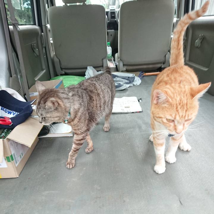 521f4dfa 7ad2 4495 8021 b8463ab7c007 1563268785392