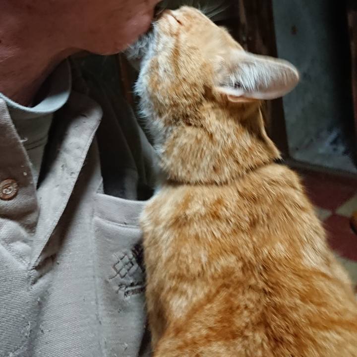 521f5675 9d78 484c a331 00bdd21ad784 1586894137882