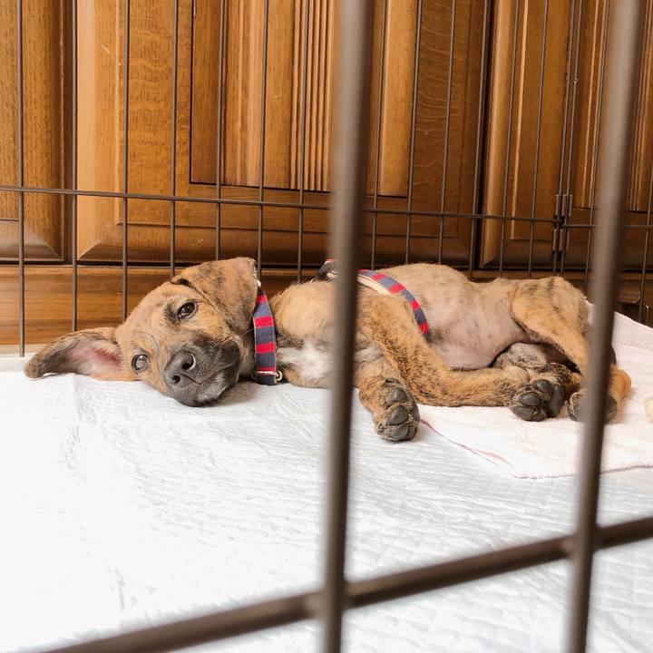 521f601e 4a47 41ea bc49 cc58a8819b0a 1567567441864