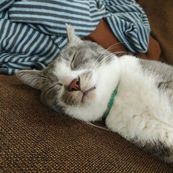 521f879c 94d3 4f3f a840 99e017056f4e 1588644388916