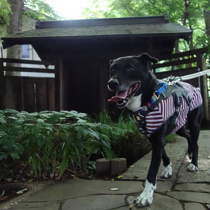 521fa321 c198 4bd8 9394 ed93d64070f6 1658274652838