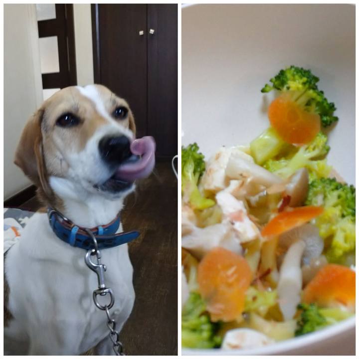 521fd76e 9936 40ac 87db bbfc55772cc1 1608881348253