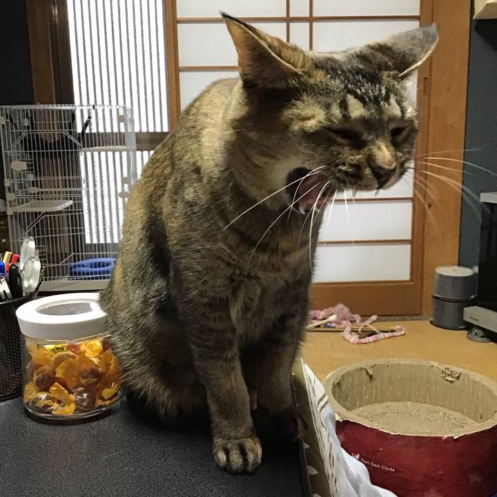 521fe2de f1ba 4f33 8058 d1a2b4abf7c7 1708848104785