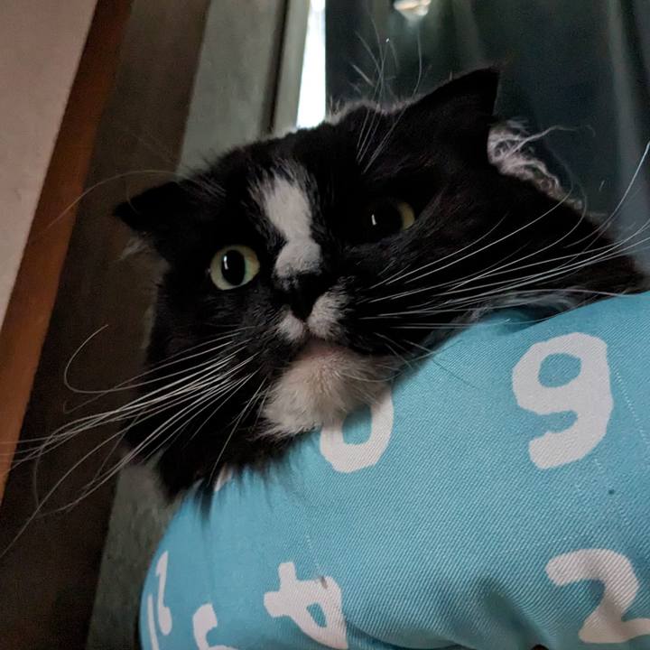 52202534 e68a 4f52 b14d ea510934e587 1713649850618