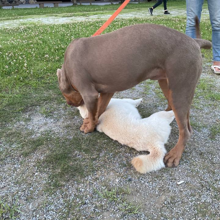 522028d8 9a33 407c a23e ecc11751cf08 1656594746459