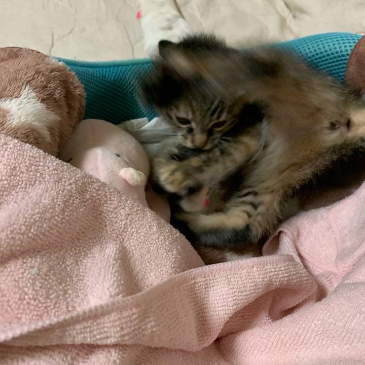 52202c1b 8300 4ad0 b05d e43204db45ff 1591021514260