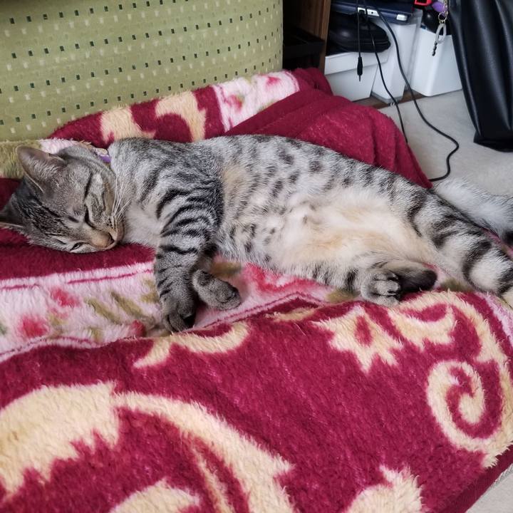 52205cfd d7ca 45dd b26f 45bebf87f2f2 1681175432866