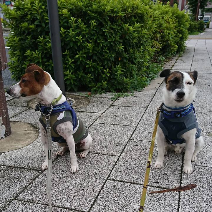 52207d5a 1e12 475b 8823 76173185ec88 1592695468314