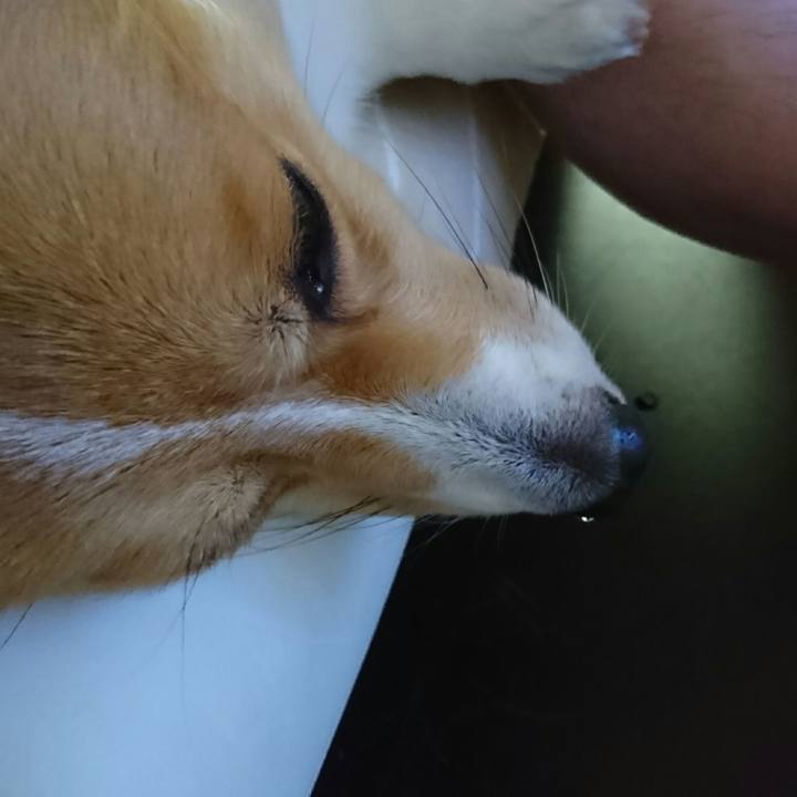 52208760 7e33 4fb6 946f 53f830c1c8d0 1530624368389