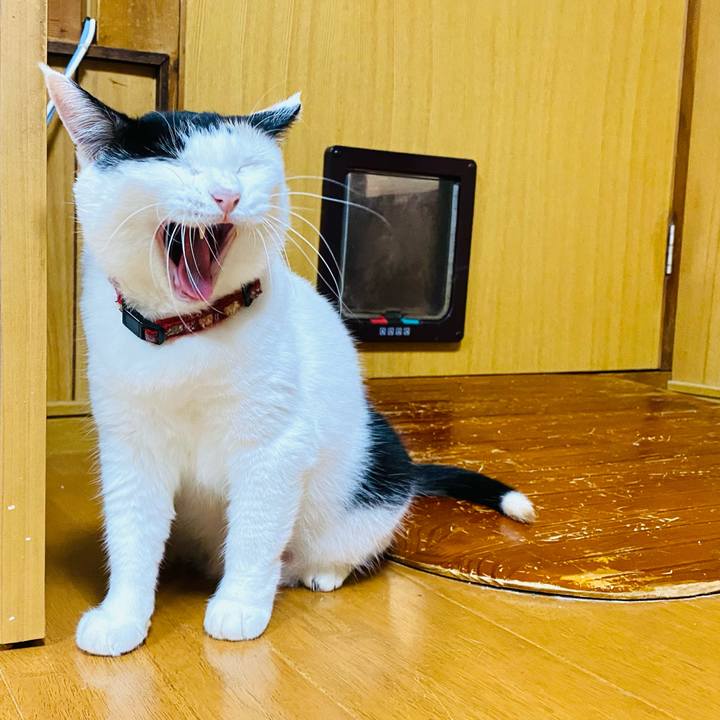 52208bdf cc47 421f b1ee bca71f07275d 1692888022225