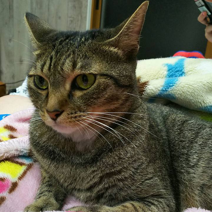 5220b128 1540 4b1c 8890 e6e9fcb0fb1c 1535899554582