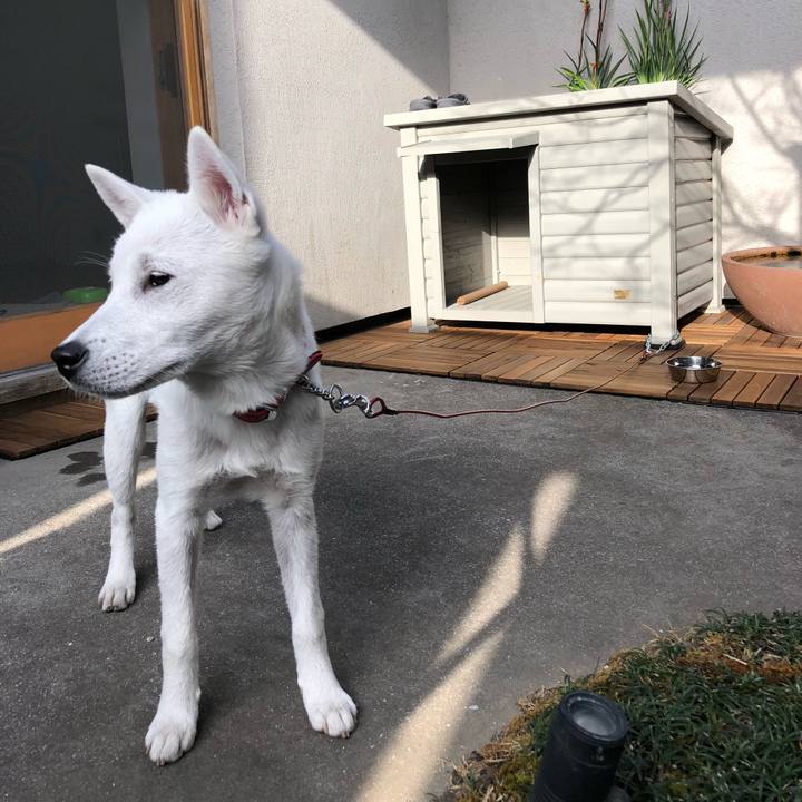 5220b1c0 2941 4979 8b5f fc24083c587b 1519213279290