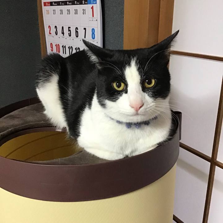 5220b6ad 7055 4d4d 86ef 9fd00a119e8d 1642979246210