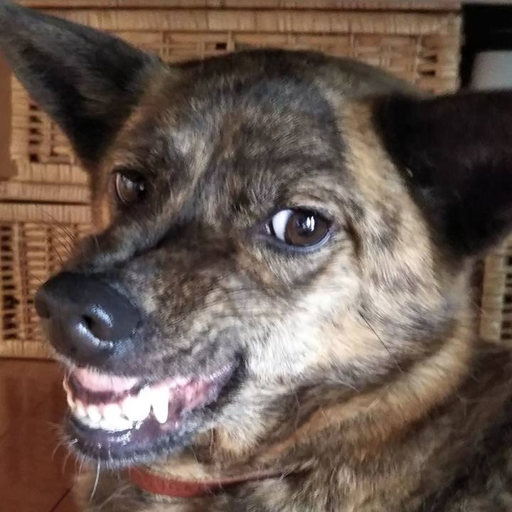 5220e87a 15be 470c b4e6 53f85b548c83 1530362547063