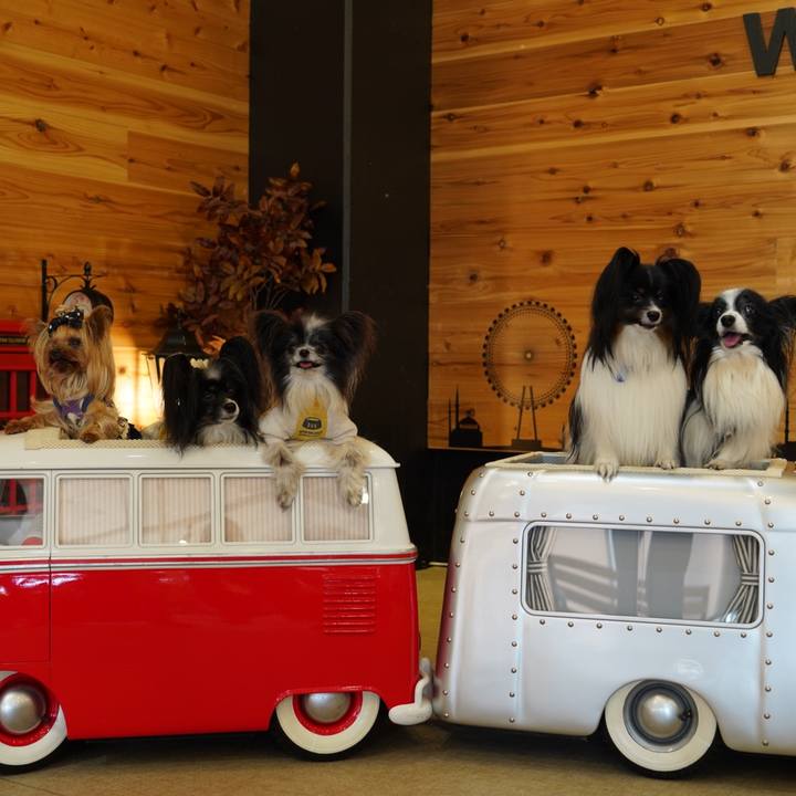 52212f3d 0766 4e4b a37f f06d8c1100f8 1637487625228