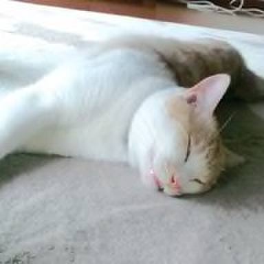 5221e0e3 182c 4df5 8b66 26f19d42a644 1566060318903