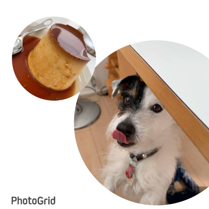 52222541 4498 4793 8012 445ed7737a90 1712469495640