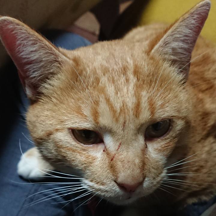 52224d32 3733 4205 aa3e 6c8a3ff155ea 1573206577145