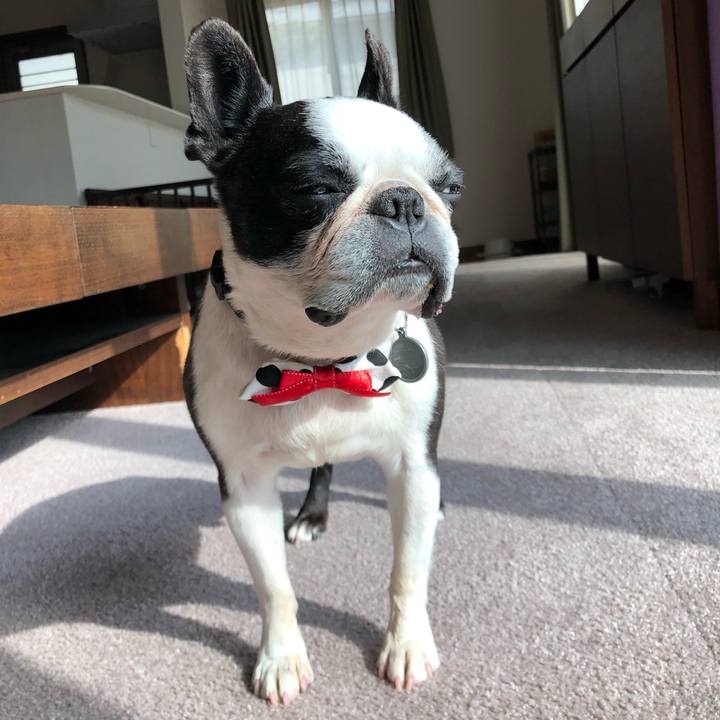 52224d39 ff68 4284 be14 9b273a18fe85 1611148672409