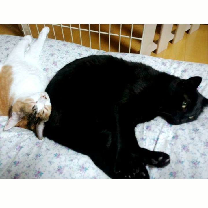 522267f5 e28d 48eb 8843 5c4fb4fa0ef7 1508933501310