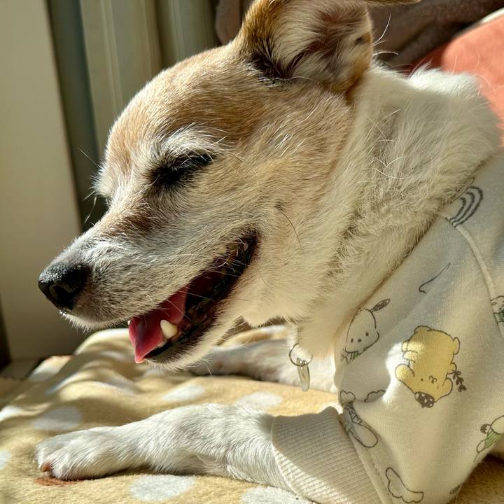 522307da e560 49ec 9453 74ed855a0969 1675052426726