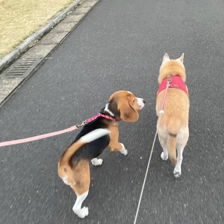 52236b8f a1e4 431f 8aa1 42112875bb17 1763969590631