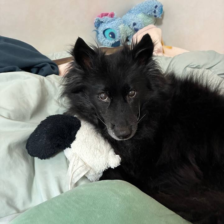 52238f2b 9c19 4357 abe5 6adcc0aba3d5 1770942145167