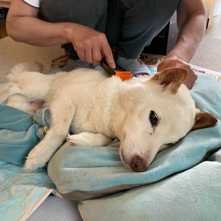 52239944 ebeb 446e bb61 3dc9d9f1b93d 1658821090600