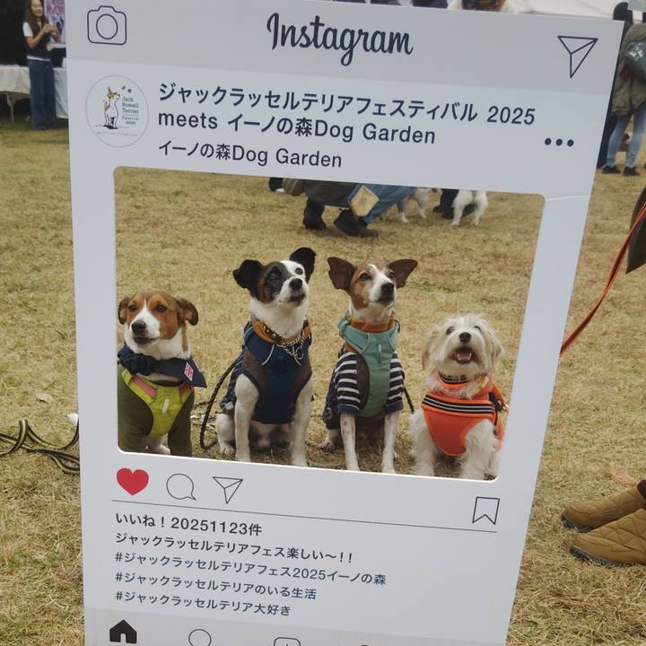 5223bc83 50e8 4ed0 b834 35989e3c70c3 1763868619040