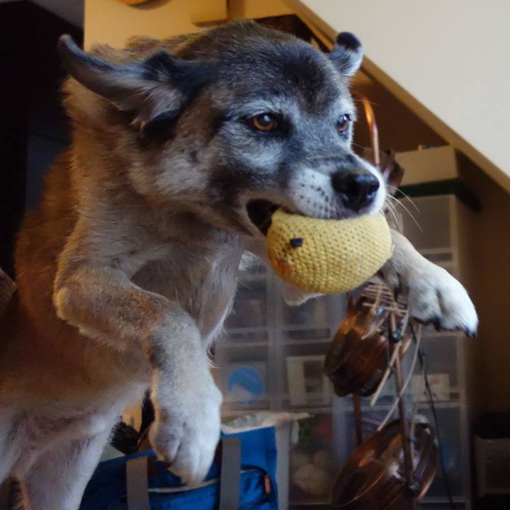 5223c654 1ea7 4acf b581 cde3371af7ab 1646526606145