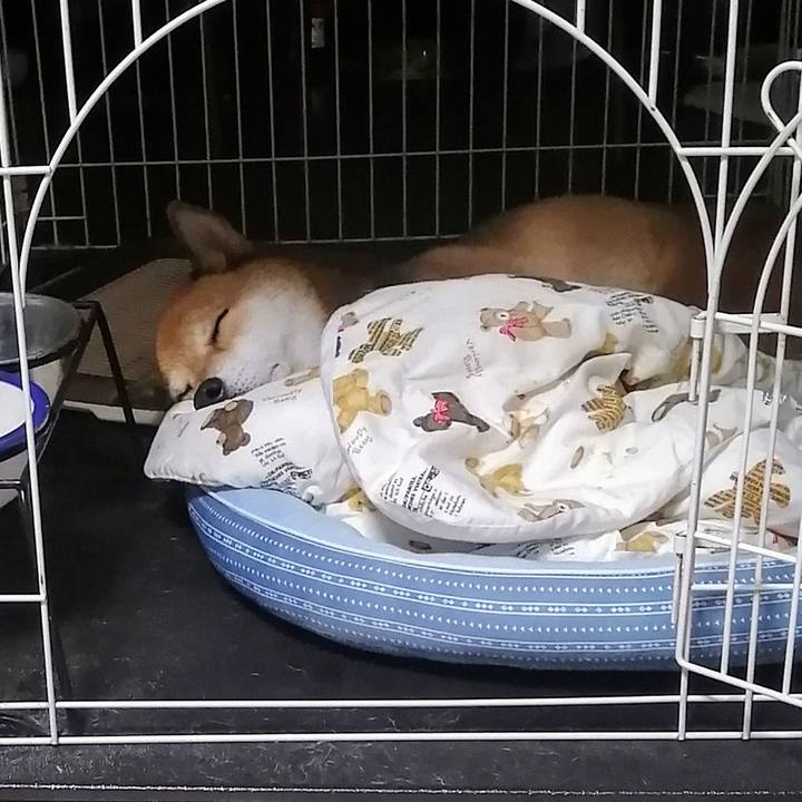 5223fb50 3d1c 4934 9bbe 2841e04e9af4 1633962589077