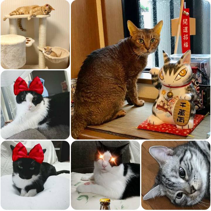 5223ffbf ca85 4485 a316 04dec90afc5a 1563180935970