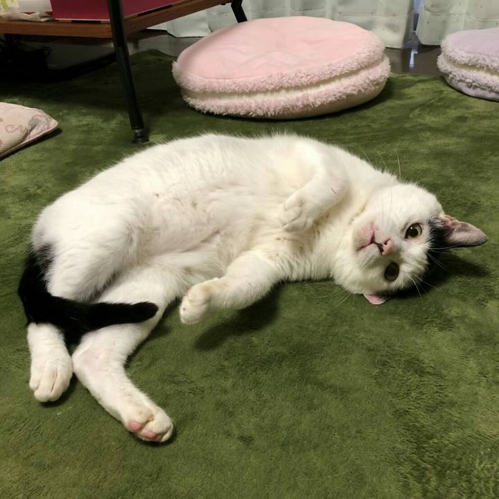 522407f2 b722 46f1 bd79 594320a0aa9e 1568615938967