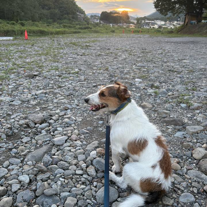 5224282b 117e 468e 9fb9 a99fc4cce23d 1757856941644