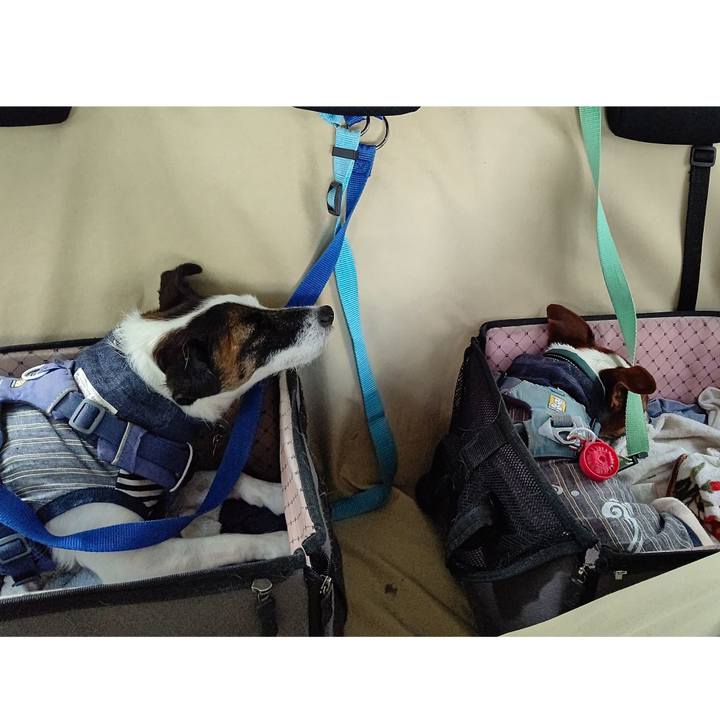 5224542e ceb1 465e a0b4 8aec92219813 1697278606696