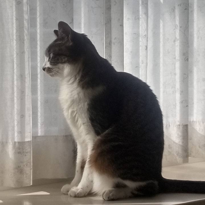 52245b43 59a4 4ffa 81a3 fc193f30f445 1770960616977