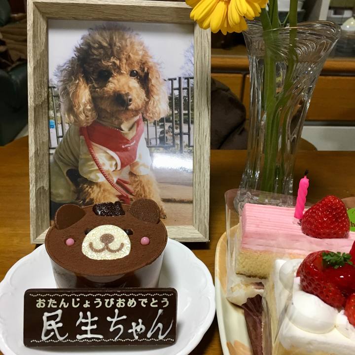 52247380 6f99 439f 9ae0 ff411f1bcce1 1585134779481